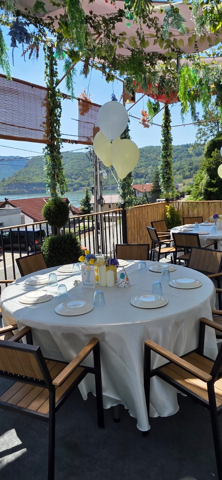 Modern white guest house at Partizan Resort with pool and Danube view